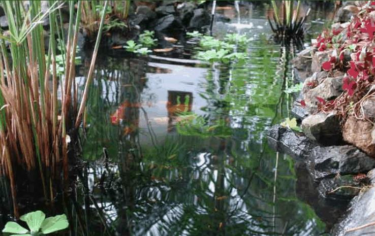 Hotel Pousada Coqueiro Verde Itacaré Zewnętrze zdjęcie